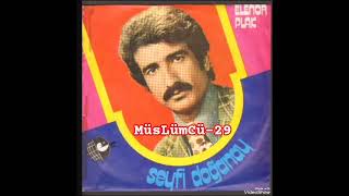 Seyfi Doğanay-Kış Geldi