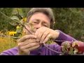 Alan Titchmarsh - Growing fruit