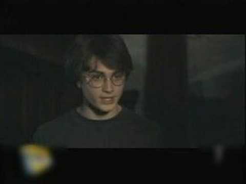 Gay Harry Potter