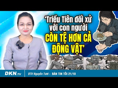 Bản tin tối 21/10: Cá nhân có được cứu trợ vùng lũ?; ‘Triều Tiên xem con người không bằng động vật’