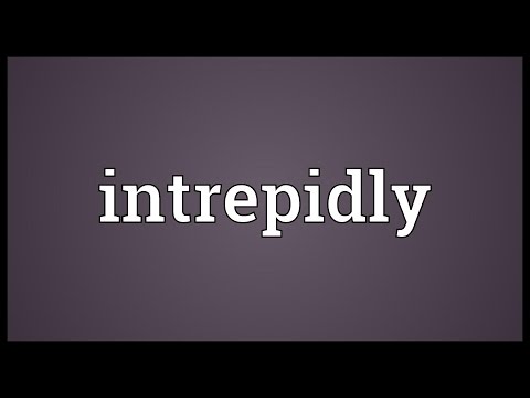 Header of intrepidly