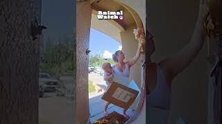 Funniest Caught On Camera Greatest Hits