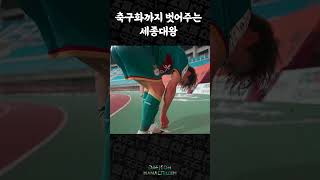WZf6dQ2CtiU Video Image