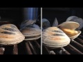 Grilled Clams Recipe - Little Neck Clams How To BBQ Tricks