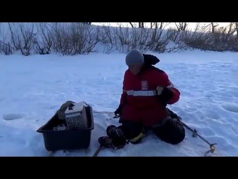 рыбалка верх-каргат рыбалка верх-каргат
