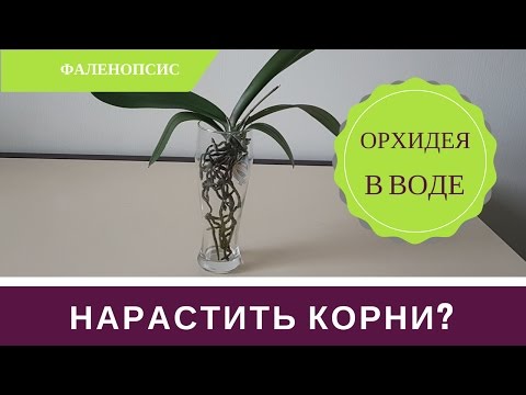 Раскраски для девочек. Бесплатно. Скачать. Распечатать Пословицы о труде