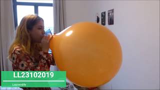 146 Anna Balloon Pop Trailer