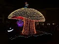 Disney World Magic Kingdom Electrical Parade Full