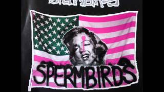 Watch Spermbirds Two Feet video