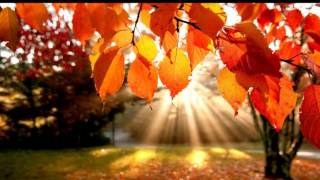 Watch Patricia Kaas Autumn Leaves video