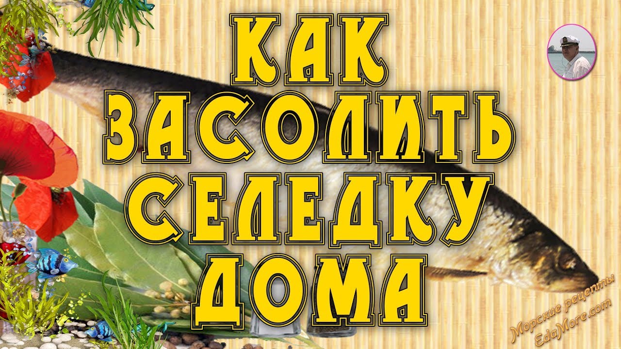Как засолить селедку. Посол сельди дома от Petr de Cril'on - Скачать бесплатно через торрент