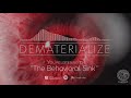 The Behavioral Sink Video preview