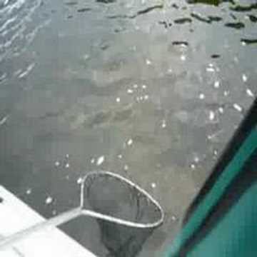 La pêche en hiver laraignée