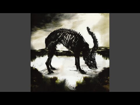 From Birth To Grave From Shadow To Light Video