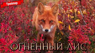 Огненный Лис — Трейлер