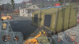 Furry Livestreaming Foxy Boy No Mic Playing Fallout 76. Please Stop Hating.