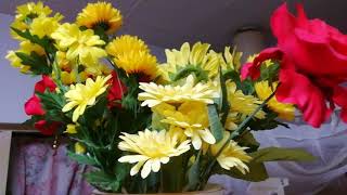 Beautiful Flowers.
