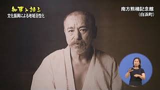 文化振興による地域活性化