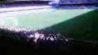 WbI8Wc51ZK8 Video Image