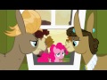 Pinkie Pie - Whoops, privacy, sorry