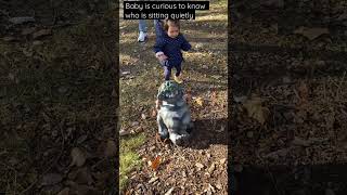 Wonderland Curious Baby Is Exploring