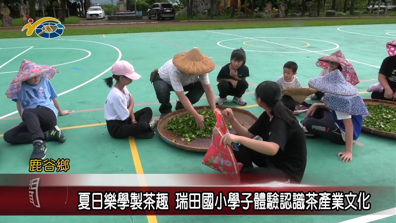 20230816 南投縣議會 民議新聞 夏日樂學製茶趣 瑞田國小學子體驗認識茶產業文化