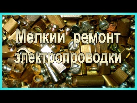Дворовая собака несла в зубах новорожденного Мой чудо малыш Горячая линия МГТС, личный кабинет и служба