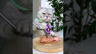 So Easy Cat Making Korean Cheese Fried Chicken Easy Street Food Cat Cooking-Tiktok