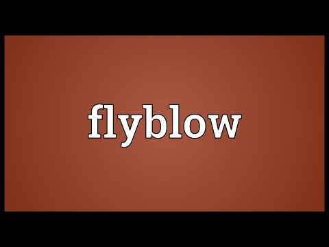 Header of flyblow