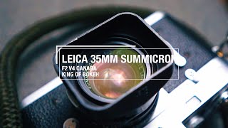 The King Of Bokeh? - Leica Summicron V4 Sample Photos