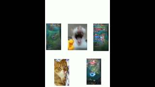 Me In 5 Lane Mlbb