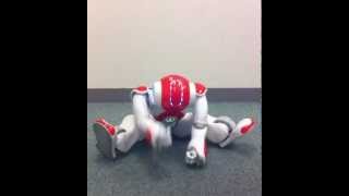 Childish Nao Beating Ground