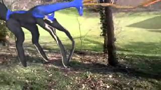 Pokemon X Real En Vrai Le Pikachu Shiny Partie2, Stegosaurus, Et Xerneas
