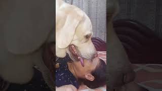 #dog #kiss