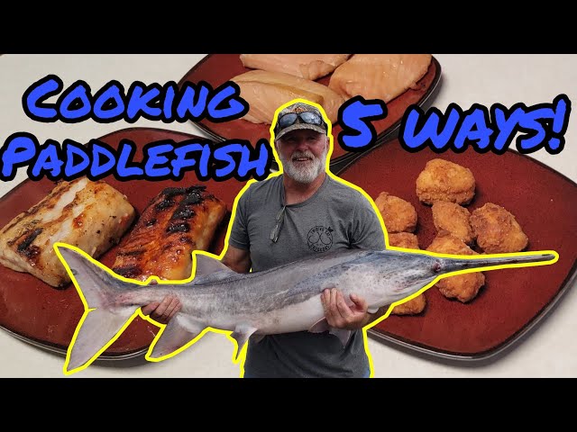Watch Cooking PADDLEFISH (Spoonbill) Multiple Ways! (Smoked, Grilled, and Fried) on YouTube.