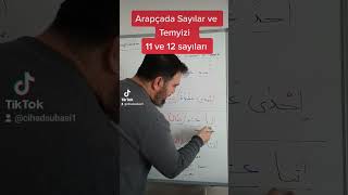 Arapça Sayılar Ve Temyizi 11 Ve 12 Sayıları