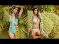 south indian actress in bikini  high quality 2020 hot and sexy photos in bikini