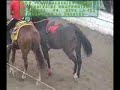 FUTURITY