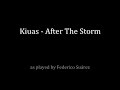 After the Storm (Kiuas Cover)