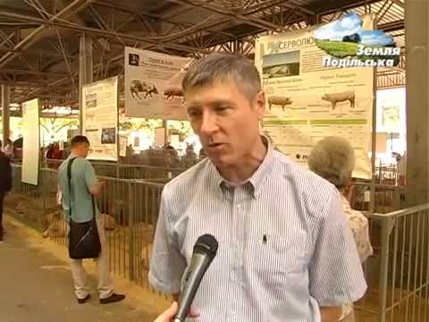 Голышманово тюменской области новости
