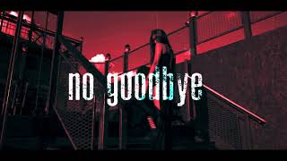 Paul Kalkbrenner - no goodbye ( Milani Deeper Rework 2k21 )