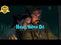 Haye Mera Dil Female version x Bewafa [ Slowed reverb + lofi ] Audio lyrics🎧