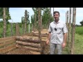 teak