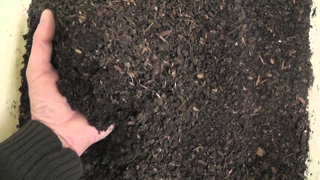 Модные прически для женщин за фото Фото причесок Модные прически для женщин за фото Фото причесок