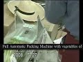 Packing Machine for Vegetables series-7,日本蔬菜包装机系列-7