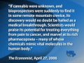 Parody: Death by Marijuana Overdose (MPP-TV)