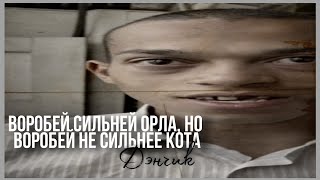 Топовые Цитаты Денчика