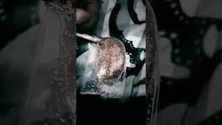 Nano Tape Balloon With Den Glitter By Nausheen , Share, Subscribe