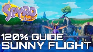 Spyro The Dragon Reignited 120% Guide Sunny Flight All Gems, Eggs, Dragons...