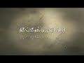الفالي
